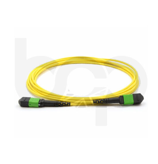 MTP-MTP Patch Cable