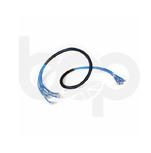 UTP – Plug To Plug – Copper Trunk Cable